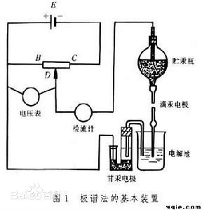午夜三级视频