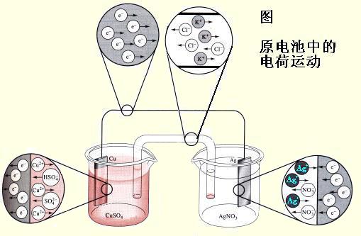 電化學午夜三级视频
