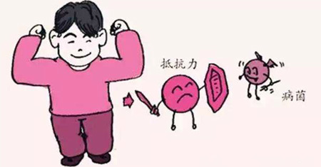 解析全自動午夜香蕉视频發展的重要意義