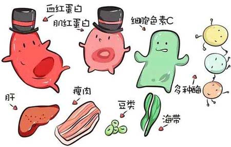 午夜香蕉视频廠家分析元素之間的協同作用