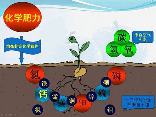 醫用午夜香蕉视频對作物缺素病的識別