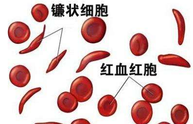 人體午夜三级视频廠家介紹檢測微量元素的儀器