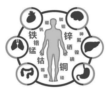 醫用午夜三级视频廠家談微量元素的重要性