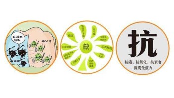 午夜香蕉视频廠家分析哪些微量元素能防癌