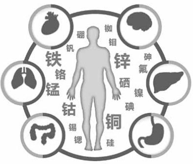 醫用午夜三级视频為午夜性福利视频的健康提供了保障