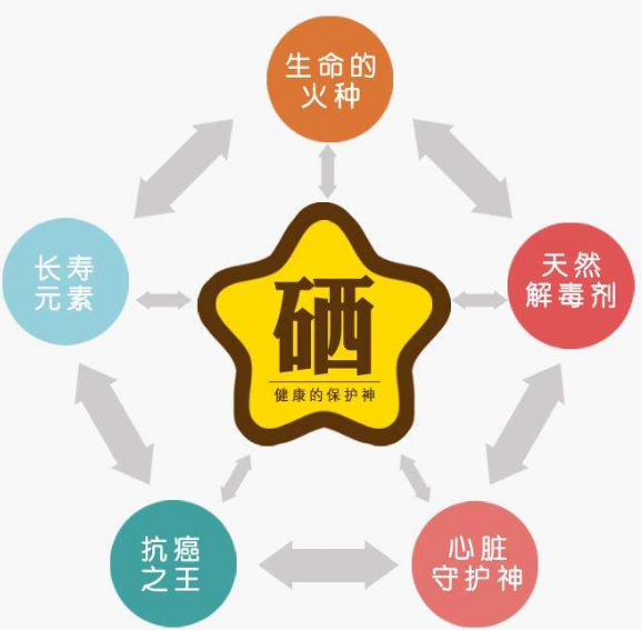 全自動午夜三级视频廠家分析硒為何被稱為生命的火種？