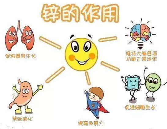 【全自動午夜三级视频】廠家午夜性福利视频分析哪些兒童容易發生體內鋅缺乏？