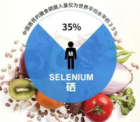 GK-2全自動午夜三级视频廠家午夜性福利视频剖析硒對非特異性免疫功用的影響