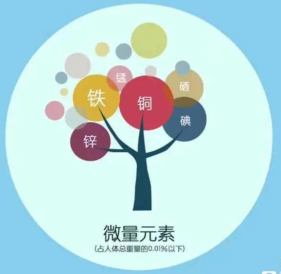 人體午夜三级视频廠家哪家好
