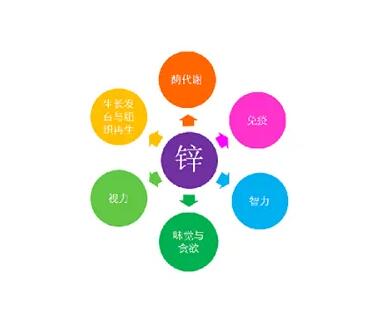 微量元素測定儀廠家提示關愛男士健康，適度補充鋅元素也不能少！