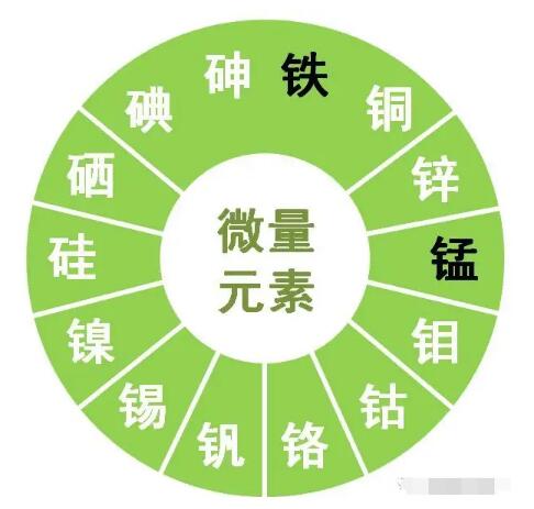 午夜三级视频提示鋅、硒、錳、釩等微量元素對男性生育有哪些作用？