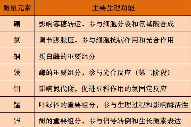 山東聊城全自動血鉛檢測儀一體機：微量元素的主要作用8.20